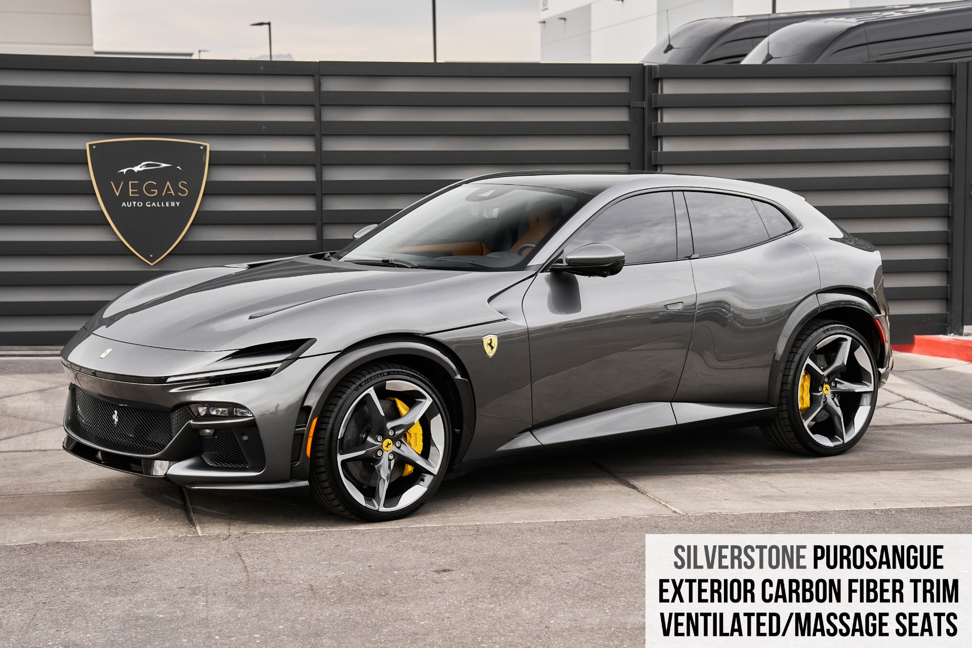 値下げ！！Ferrari Purosangue 専用 カーボンファイバー製ケース