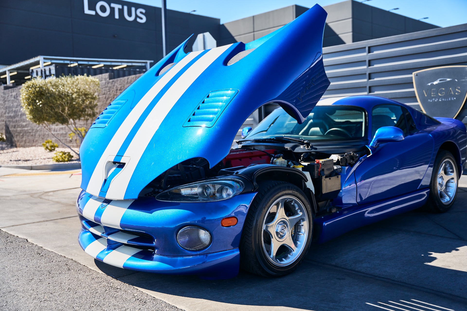 Used 1996 Dodge Viper GTS For Sale ($94,800) | Lotus Las Vegas