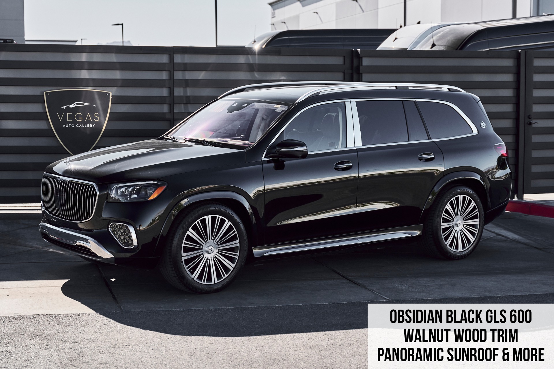 2024 Mercedes-Benz GLS Maybach GLS 600's photo