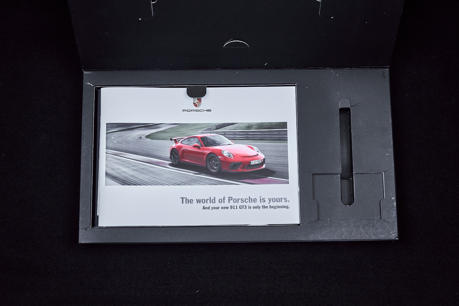 2018 Porsche 911 GT3 - Photo 18