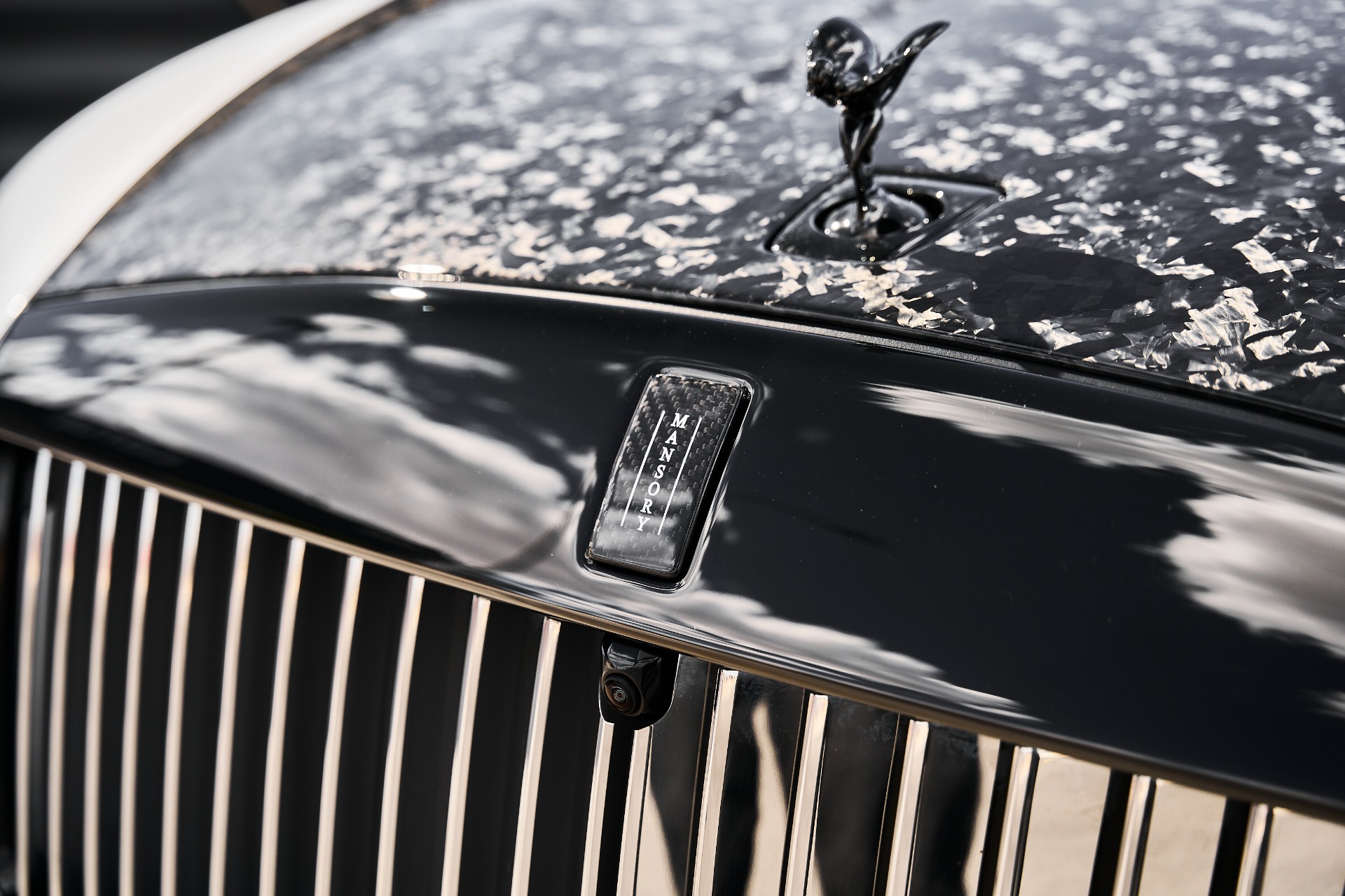 2025 Rolls-Royce Spectre Black Badge - Photo 8