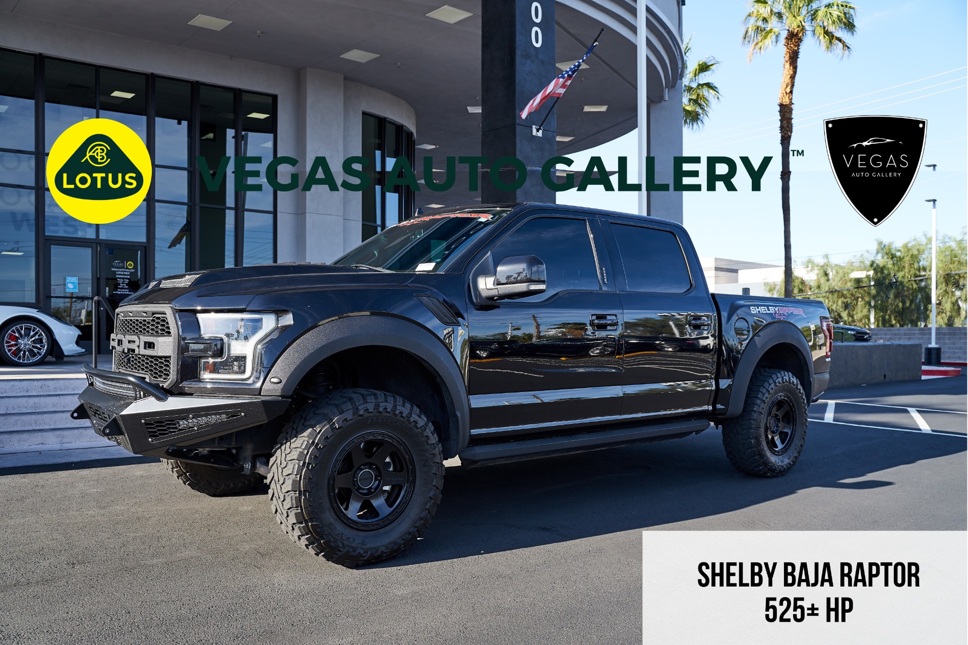 ford f 150 shelby for sale used